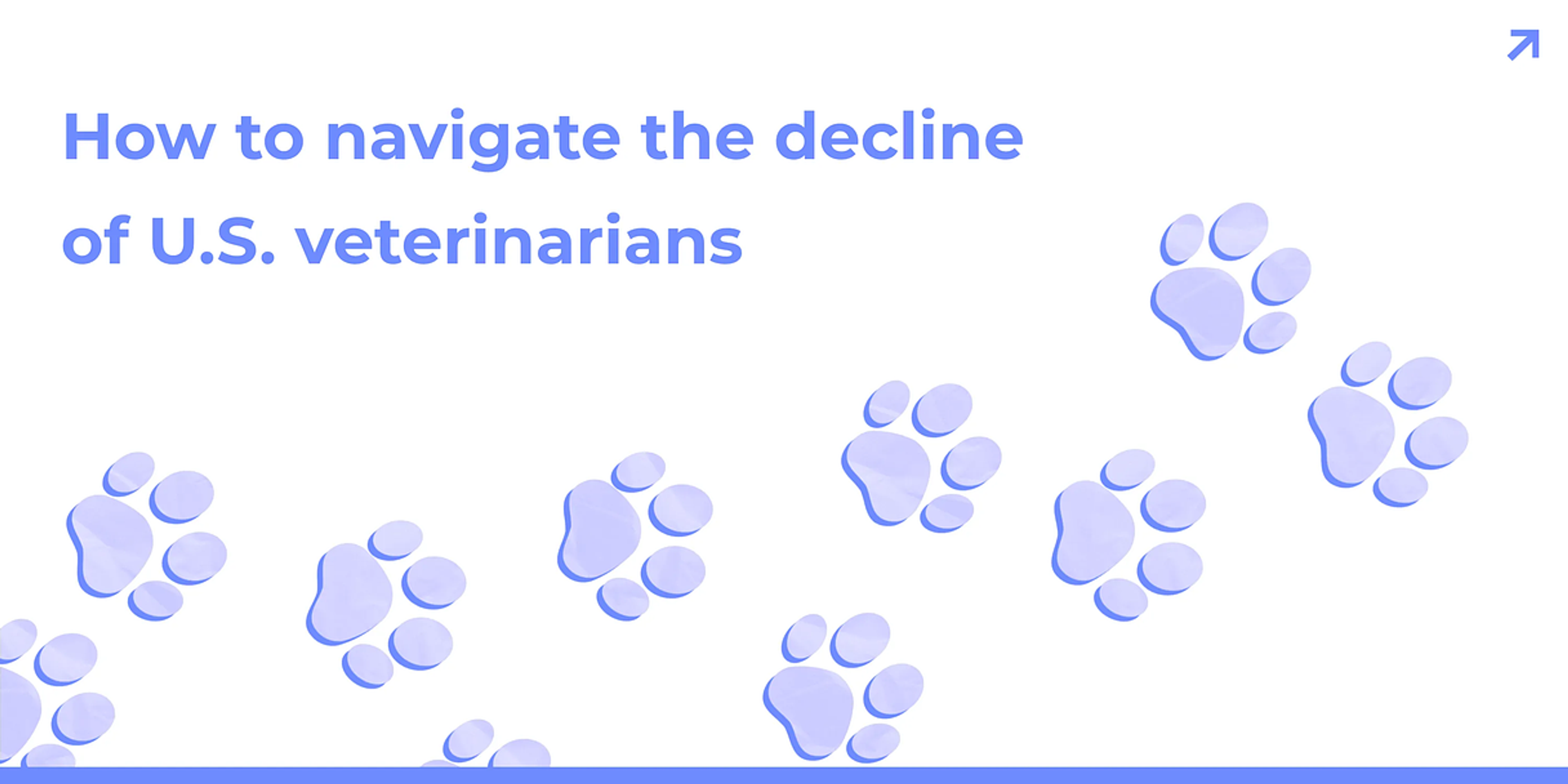 Image for How to navigate the decline of U.S. veterinarians
